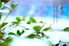 西安萬通，陪你一起經(jīng)歷這四季輪回