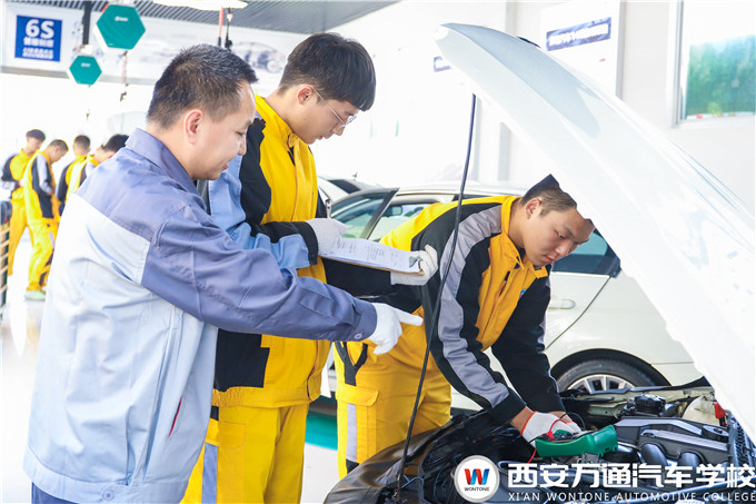 愛車遇到小毛病，萬姐給你支支招！