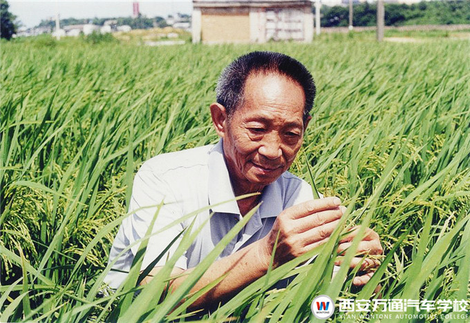 【職素教育】西安萬(wàn)通國(guó)旗下的約定：珍惜糧食，杜絕浪費(fèi)