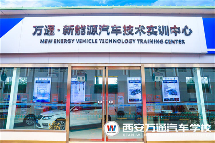 純電/混合動(dòng)力汽車(chē)多久更換電池？