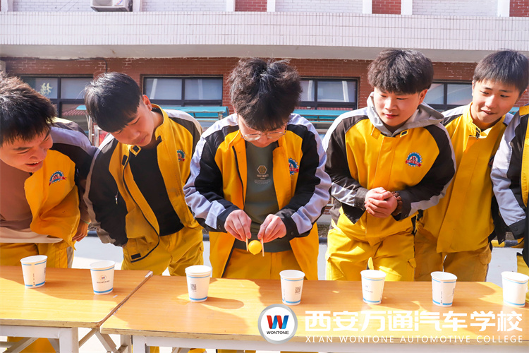 新學(xué)期，萬通新生開展素質(zhì)拓展，團(tuán)結(jié)力量,斗志昂揚(yáng)