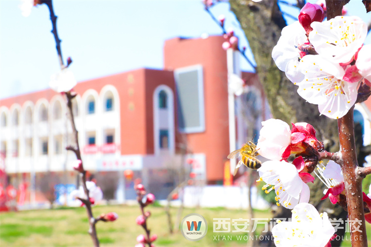 “元素周期表”中尋找西安萬通關(guān)鍵詞！